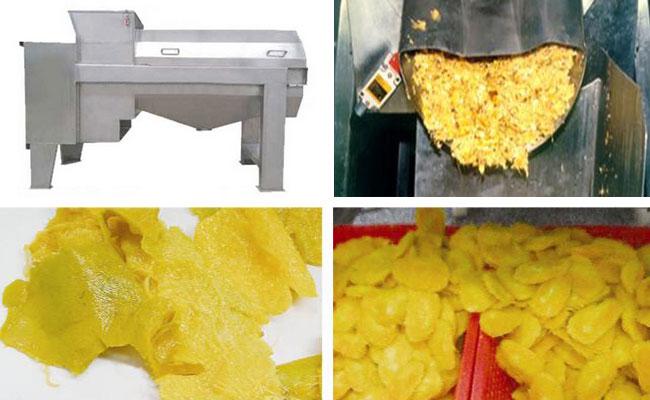 mango pulping machine effect