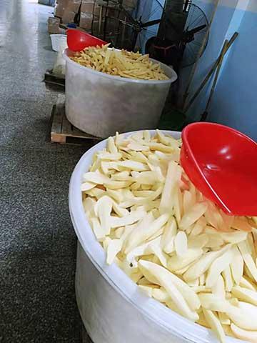 coconut meat before drying