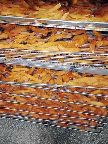 coconut meat drying in drying oven