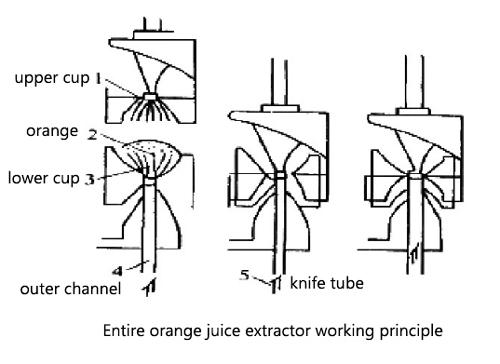 entire orange juice extractor working principle