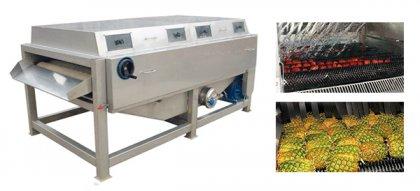 How to Choose Fruit Washing Machine