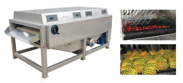 fruit brush spray cleaning machine