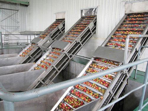 fruit elevator