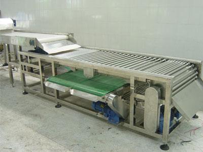 litchi fruit sorting machine