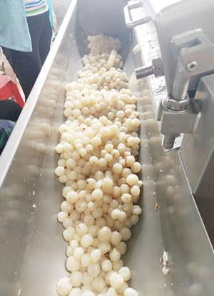 litchi peeling process