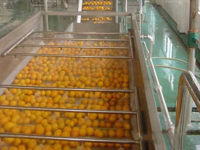 orange washing process