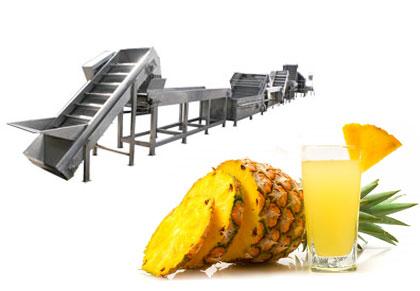 Pineapple juice processing line