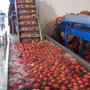 pomegranate washing machine